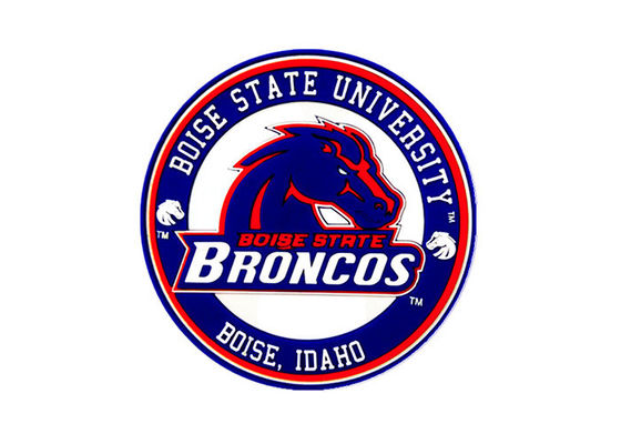 الموضة ناعمة ناعمة البلاستيك تحت الأرضية الديكور 10 * 10 سم أو حجم مخصص المزود