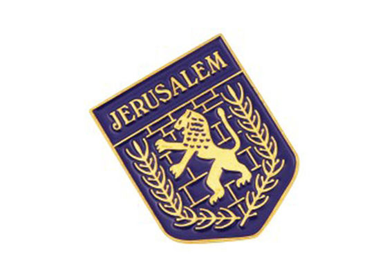 البروشة المخصصة الدبوس الصلب المسمار للصديقة المرأة الهدية المجوهرات المزود